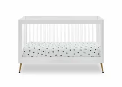 Delta Children Sloane 4-in-1 Acrylic Convertible Crib