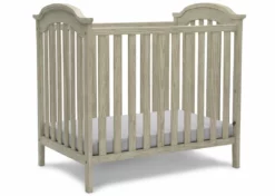 Delta Children Farmhouse Mini Baby Crib With 2.75-inch Mattress Baby Cribs 17 Delta Children Farmhouse Mini Baby Crib With 2.75-inch Mattress Baby Cribs