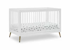 Delta Children Sloane 4-in-1 Acrylic Convertible Crib