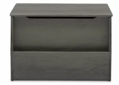 Delta Children Storage & Organization Nolan Toy Box