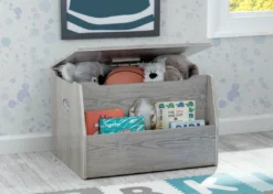 Delta Children Storage & Organization Nolan Toy Box