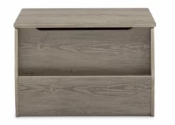 Delta Children Storage & Organization Nolan Toy Box